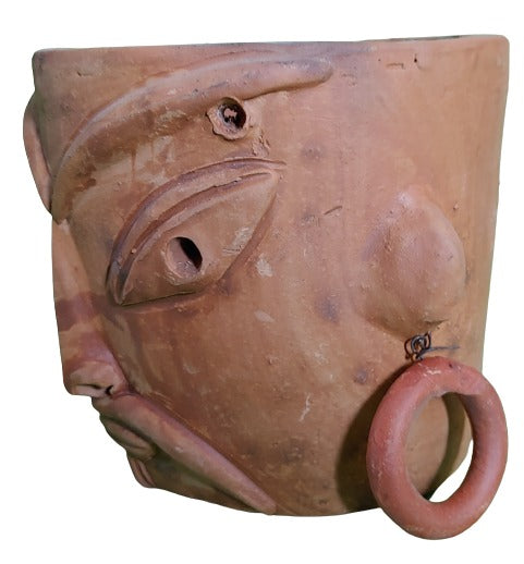 Terracotta Pot for Your Favorite Plants at Home (Traditional)